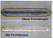 Formieren